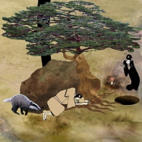 A Badger on the Pine