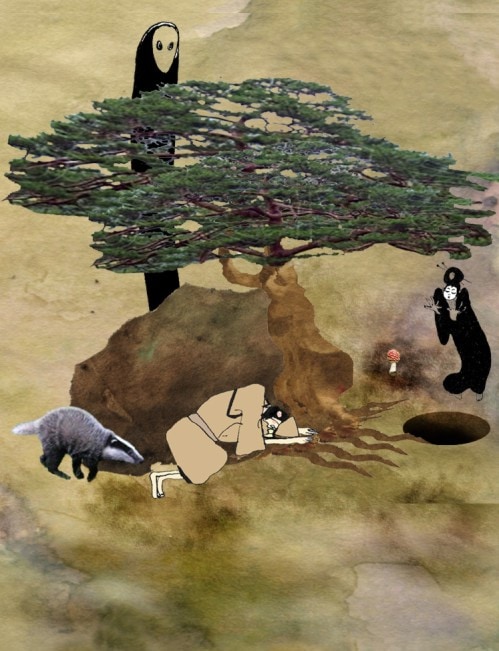 A Badger on the Pine